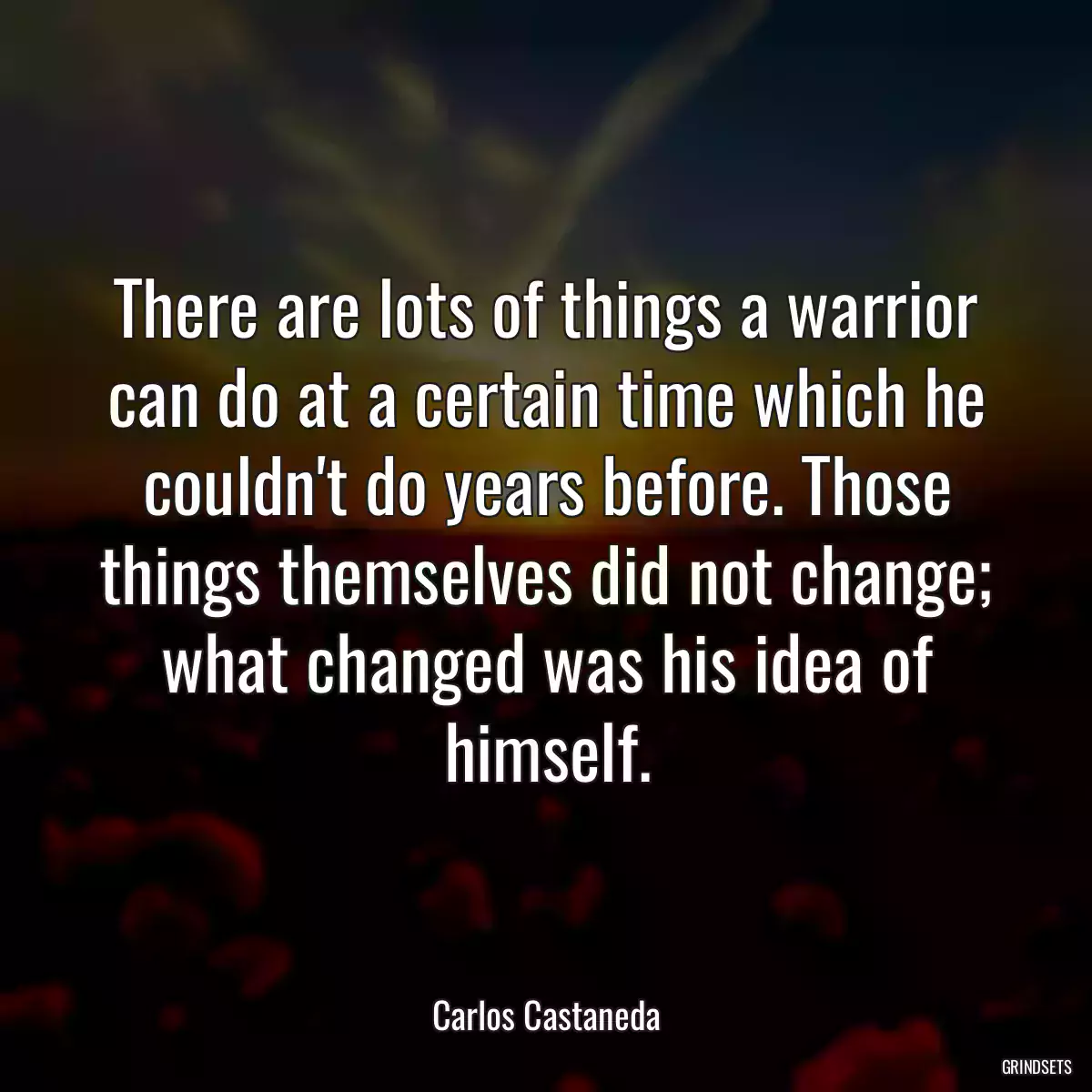 There are lots of things a warrior can do at a certain time which he couldn\'t do years before. Those things themselves did not change; what changed was his idea of himself.