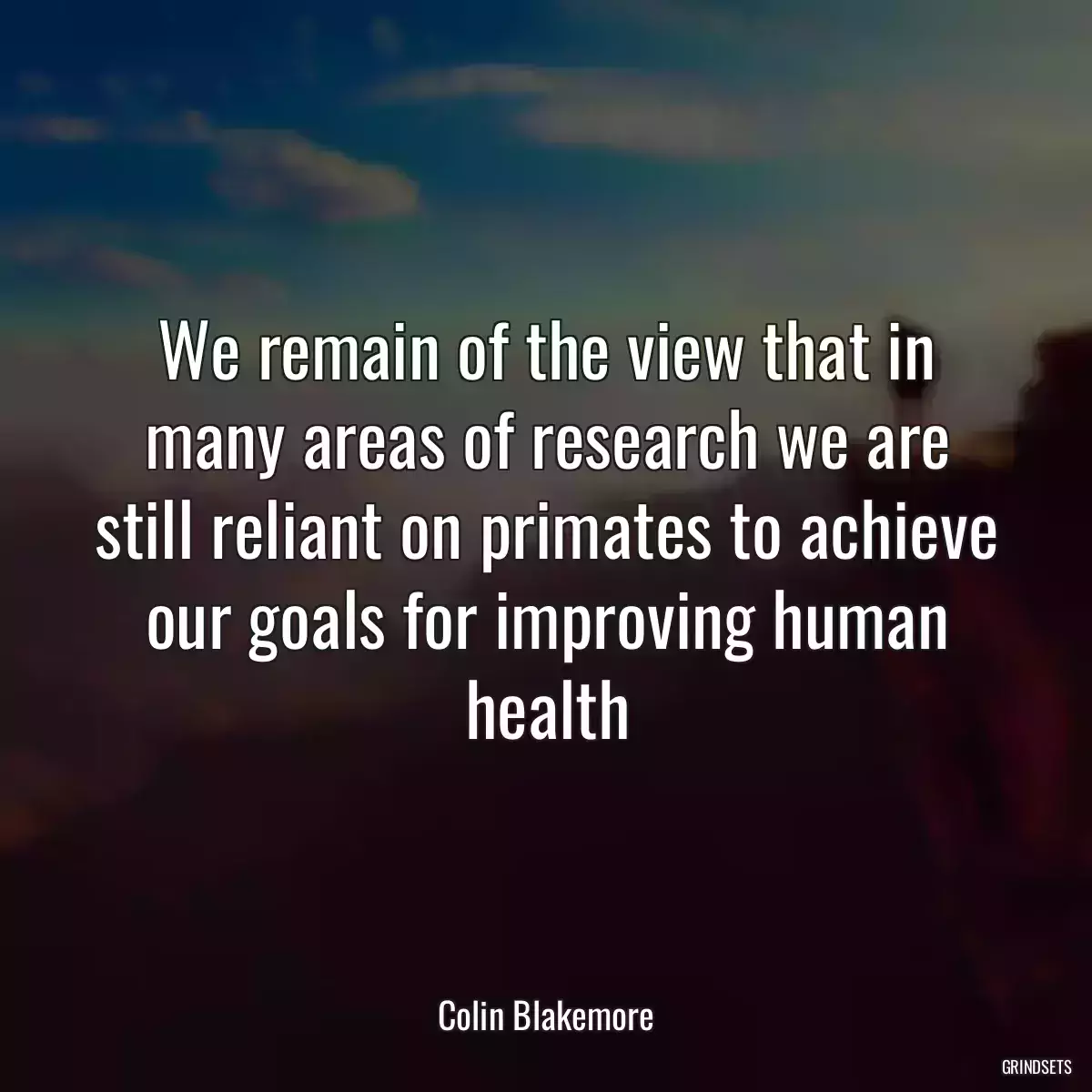 We remain of the view that in many areas of research we are still reliant on primates to achieve our goals for improving human health