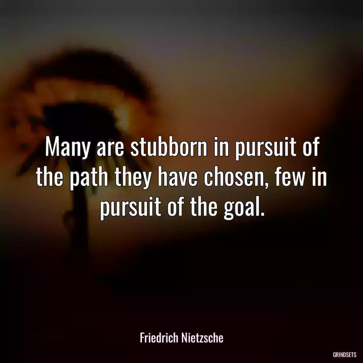 Many are stubborn in pursuit of the path they have chosen, few in pursuit of the goal.