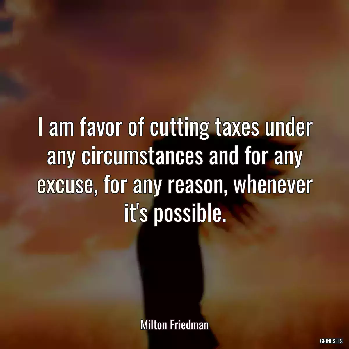 I am favor of cutting taxes under any circumstances and for any excuse, for any reason, whenever it\'s possible.