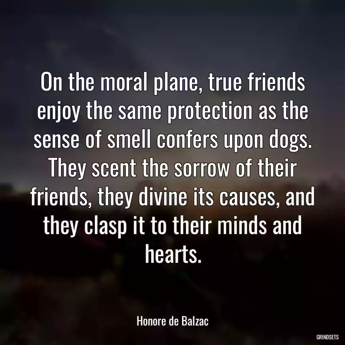 On the moral plane, true friends enjoy the same protection as the sense of smell confers upon dogs. They scent the sorrow of their friends, they divine its causes, and they clasp it to their minds and hearts.