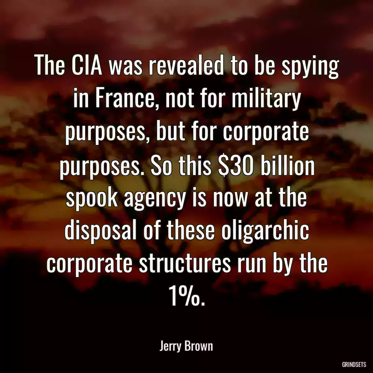 The CIA was revealed to be spying in France, not for military purposes, but for corporate purposes. So this $30 billion spook agency is now at the disposal of these oligarchic corporate structures run by the 1%.