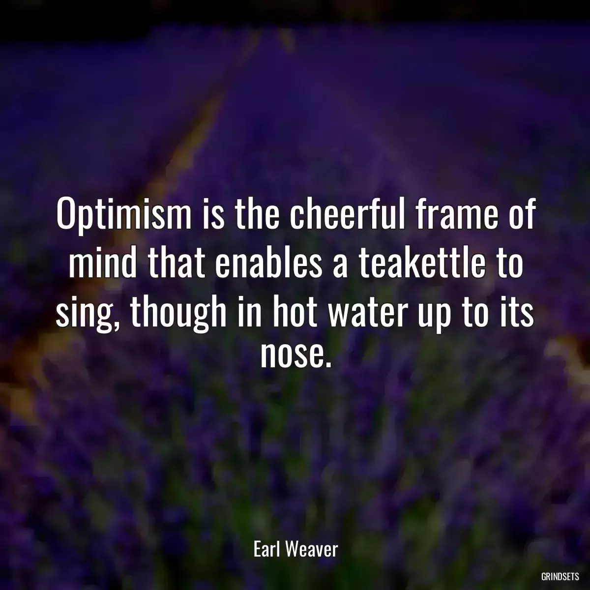 Optimism is the cheerful frame of mind that enables a teakettle to sing, though in hot water up to its nose.