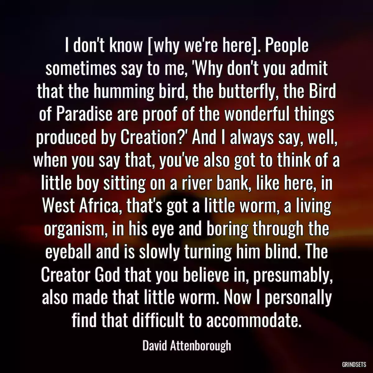I don\'t know [why we\'re here]. People sometimes say to me, \'Why don\'t you admit that the humming bird, the butterfly, the Bird of Paradise are proof of the wonderful things produced by Creation?\' And I always say, well, when you say that, you\'ve also got to think of a little boy sitting on a river bank, like here, in West Africa, that\'s got a little worm, a living organism, in his eye and boring through the eyeball and is slowly turning him blind. The Creator God that you believe in, presumably, also made that little worm. Now I personally find that difficult to accommodate.