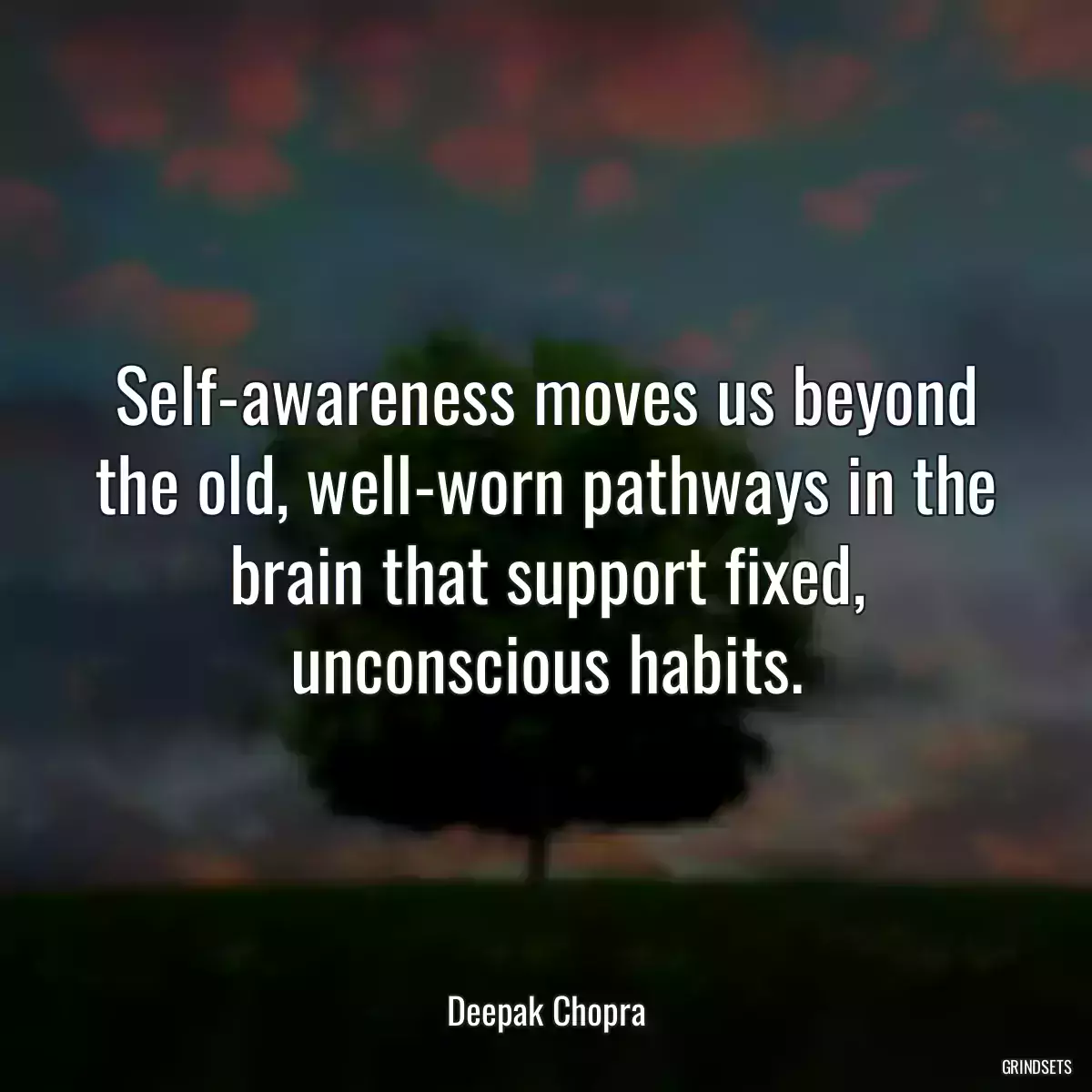 Self-awareness moves us beyond the old, well-worn pathways in the brain that support fixed, unconscious habits.