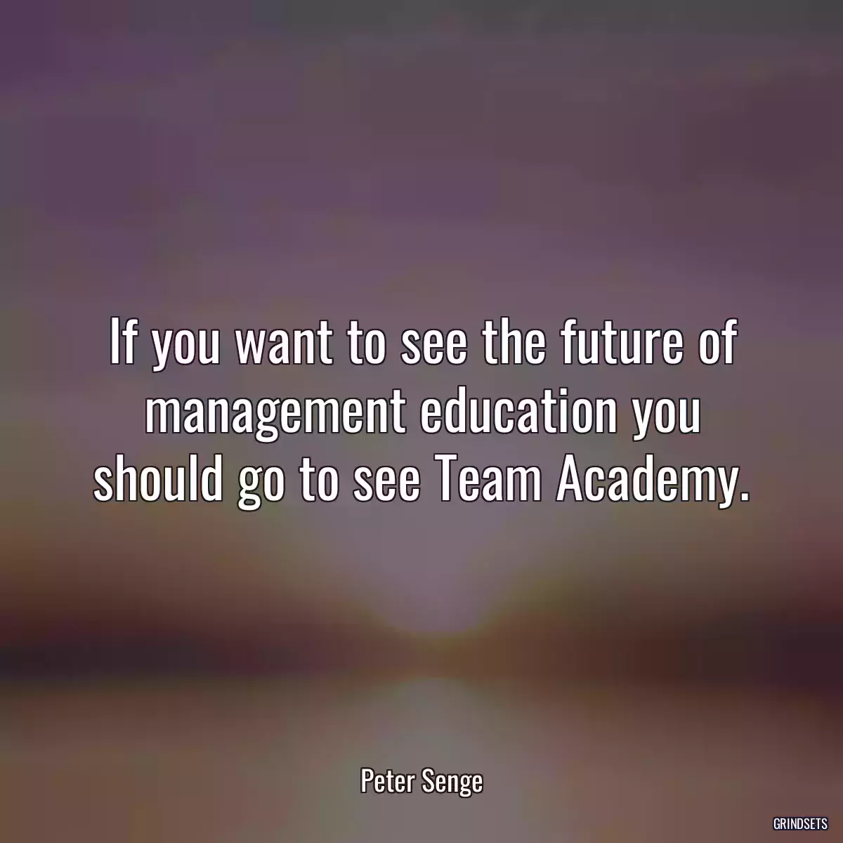 If you want to see the future of management education you should go to see Team Academy.