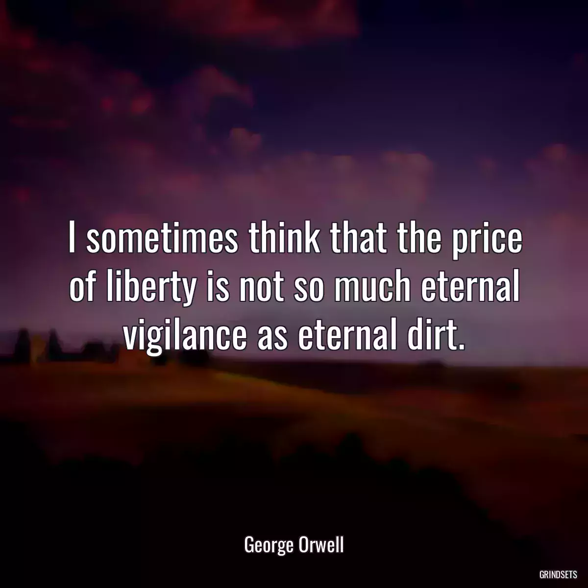 I sometimes think that the price of liberty is not so much eternal vigilance as eternal dirt.