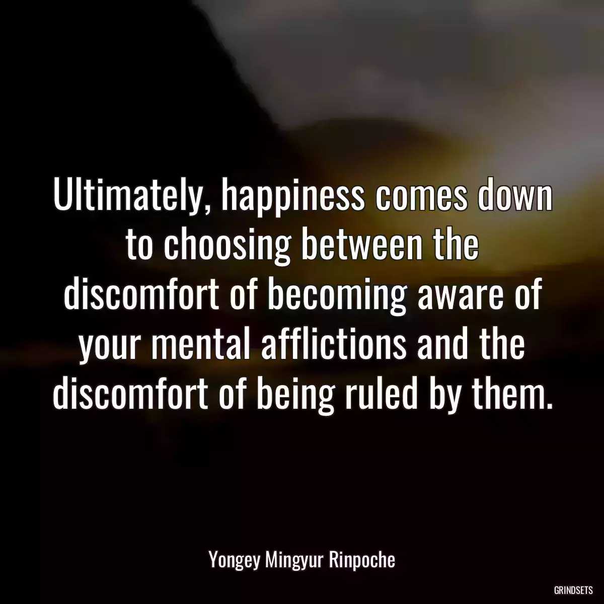 Ultimately, happiness comes down to choosing between the discomfort of becoming aware of your mental afflictions and the discomfort of being ruled by them.