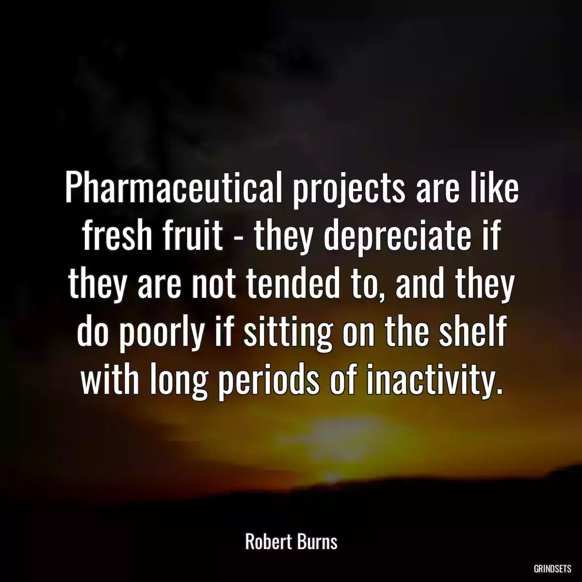 Pharmaceutical projects are like fresh fruit - they depreciate if they are not tended to, and they do poorly if sitting on the shelf with long periods of inactivity.