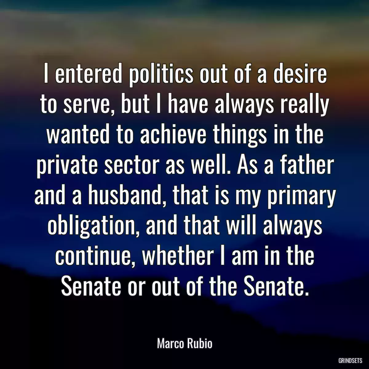 I entered politics out of a desire to serve, but I have always really wanted to achieve things in the private sector as well. As a father and a husband, that is my primary obligation, and that will always continue, whether I am in the Senate or out of the Senate.