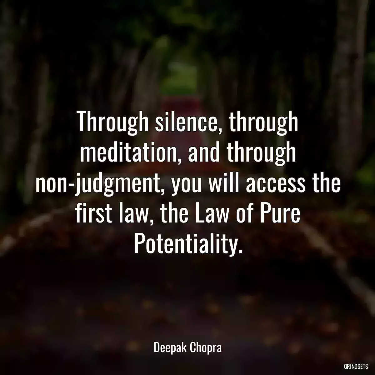 Through silence, through meditation, and through non-judgment, you will access the first law, the Law of Pure Potentiality.