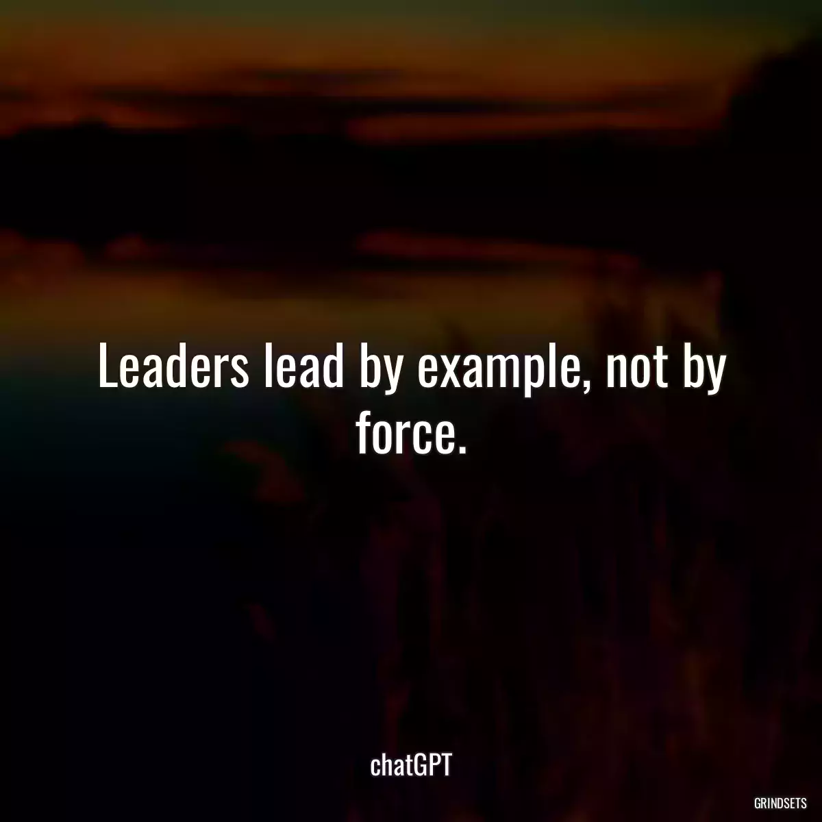 Leaders lead by example, not by force.