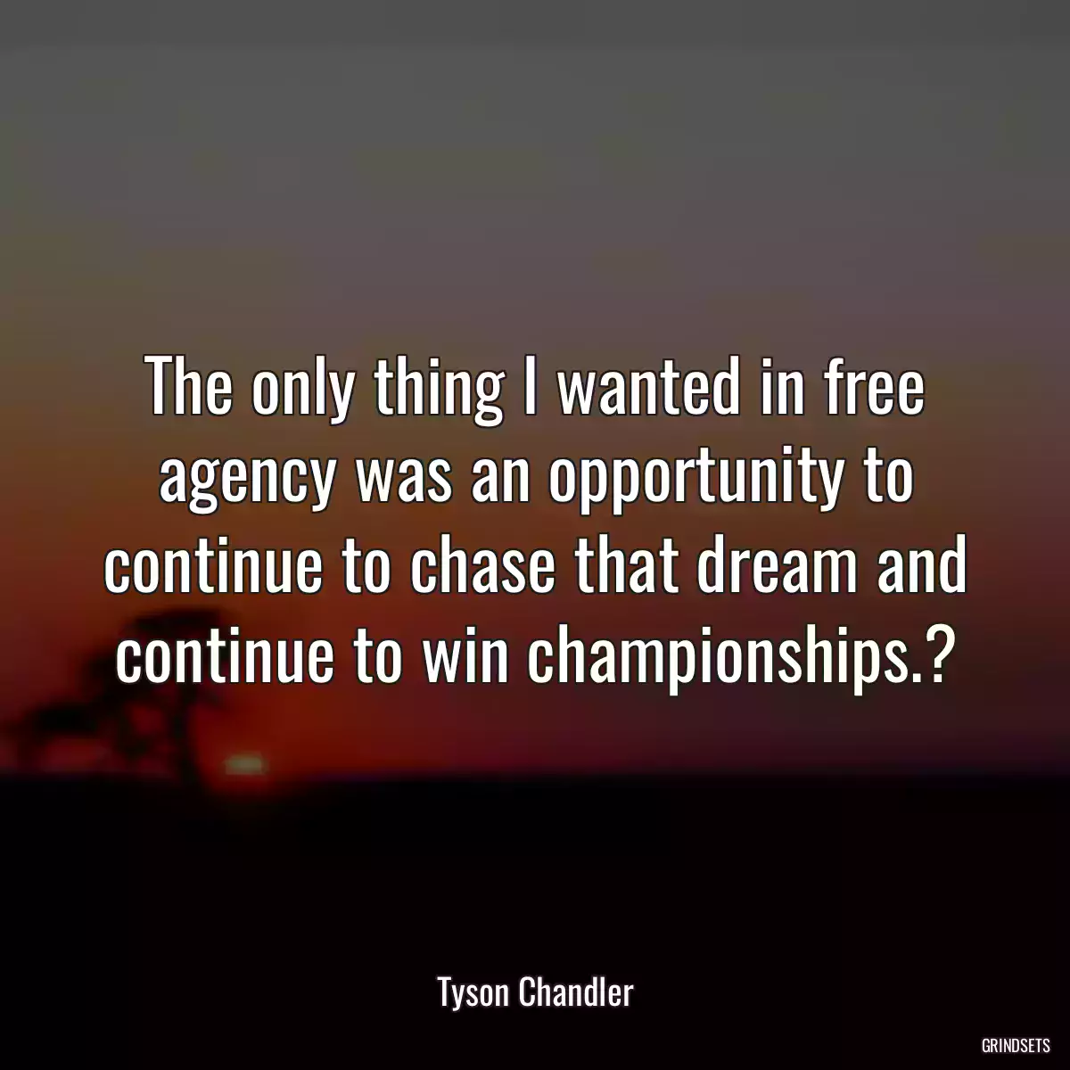 The only thing I wanted in free agency was an opportunity to continue to chase that dream and continue to win championships.?