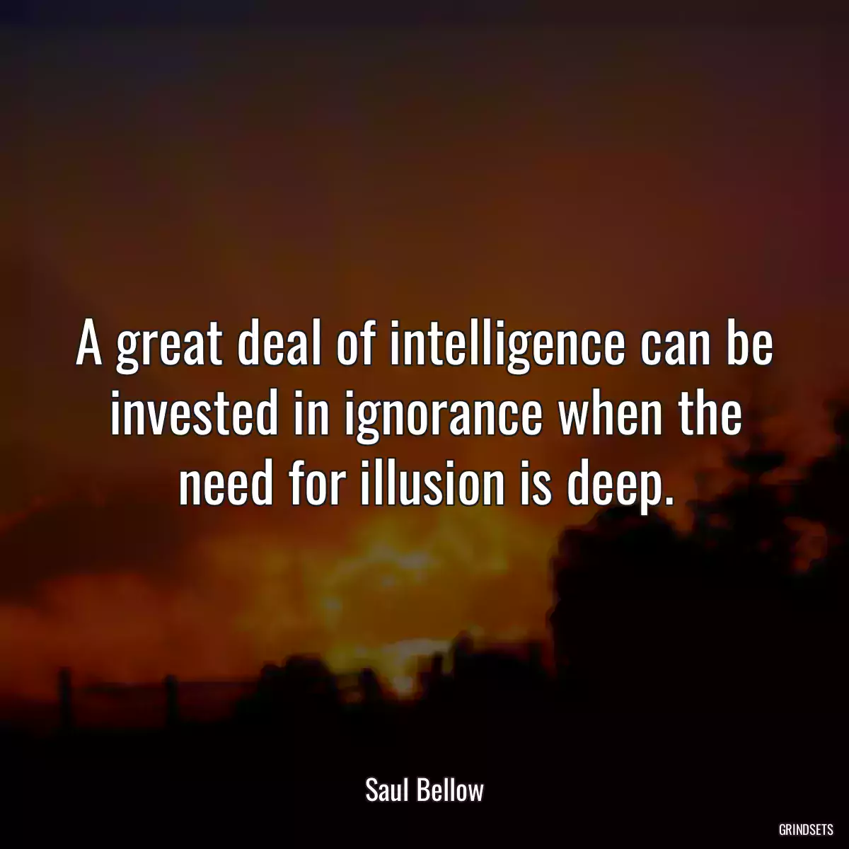 A great deal of intelligence can be invested in ignorance when the need for illusion is deep.