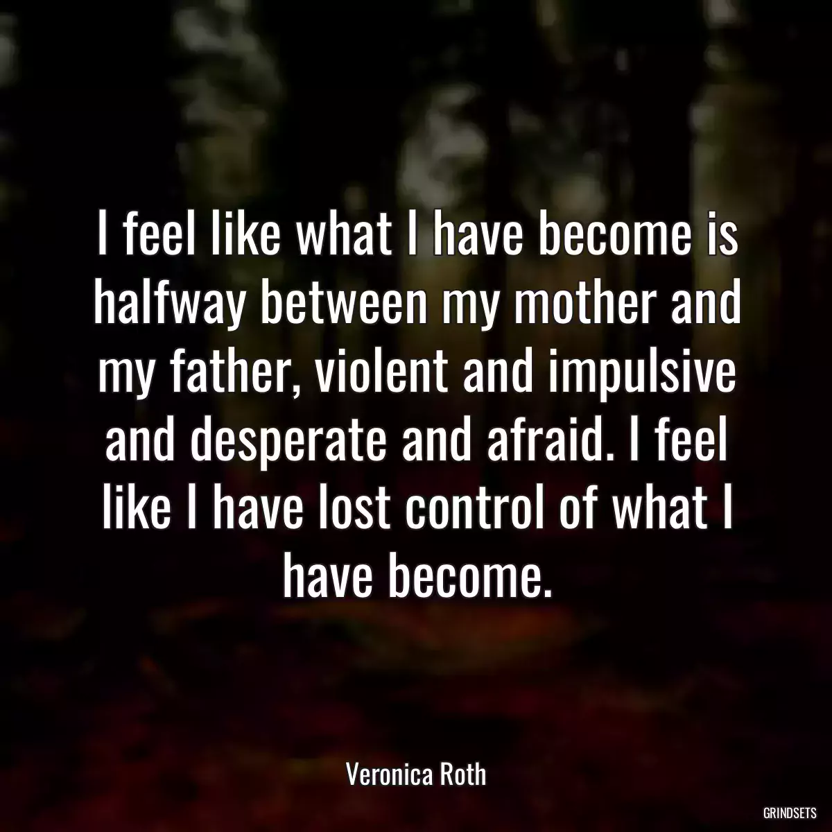 I feel like what I have become is halfway between my mother and my father, violent and impulsive and desperate and afraid. I feel like I have lost control of what I have become.