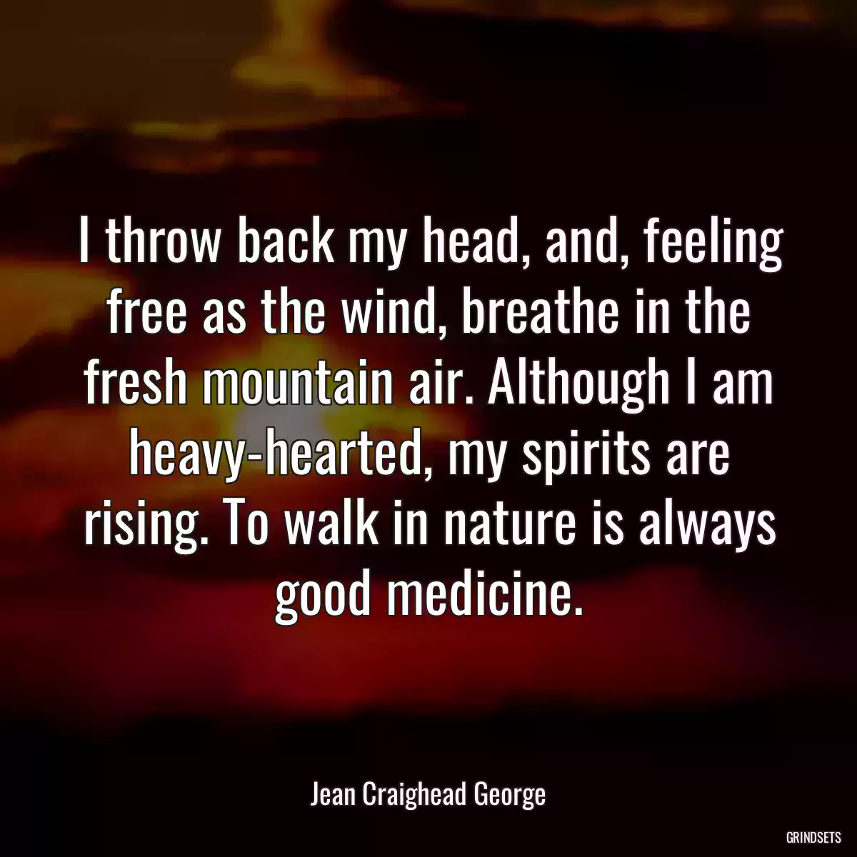 I throw back my head, and, feeling free as the wind, breathe in the fresh mountain air. Although I am heavy-hearted, my spirits are rising. To walk in nature is always good medicine.