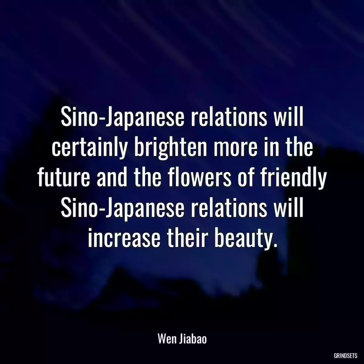 Sino-Japanese relations will certainly brighten more in the future and the flowers of friendly Sino-Japanese relations will increase their beauty.