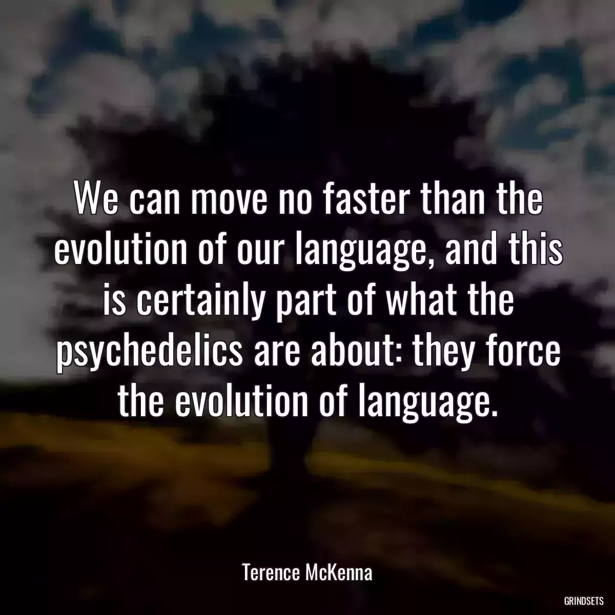 We can move no faster than the evolution of our language, and this is certainly part of what the psychedelics are about: they force the evolution of language.