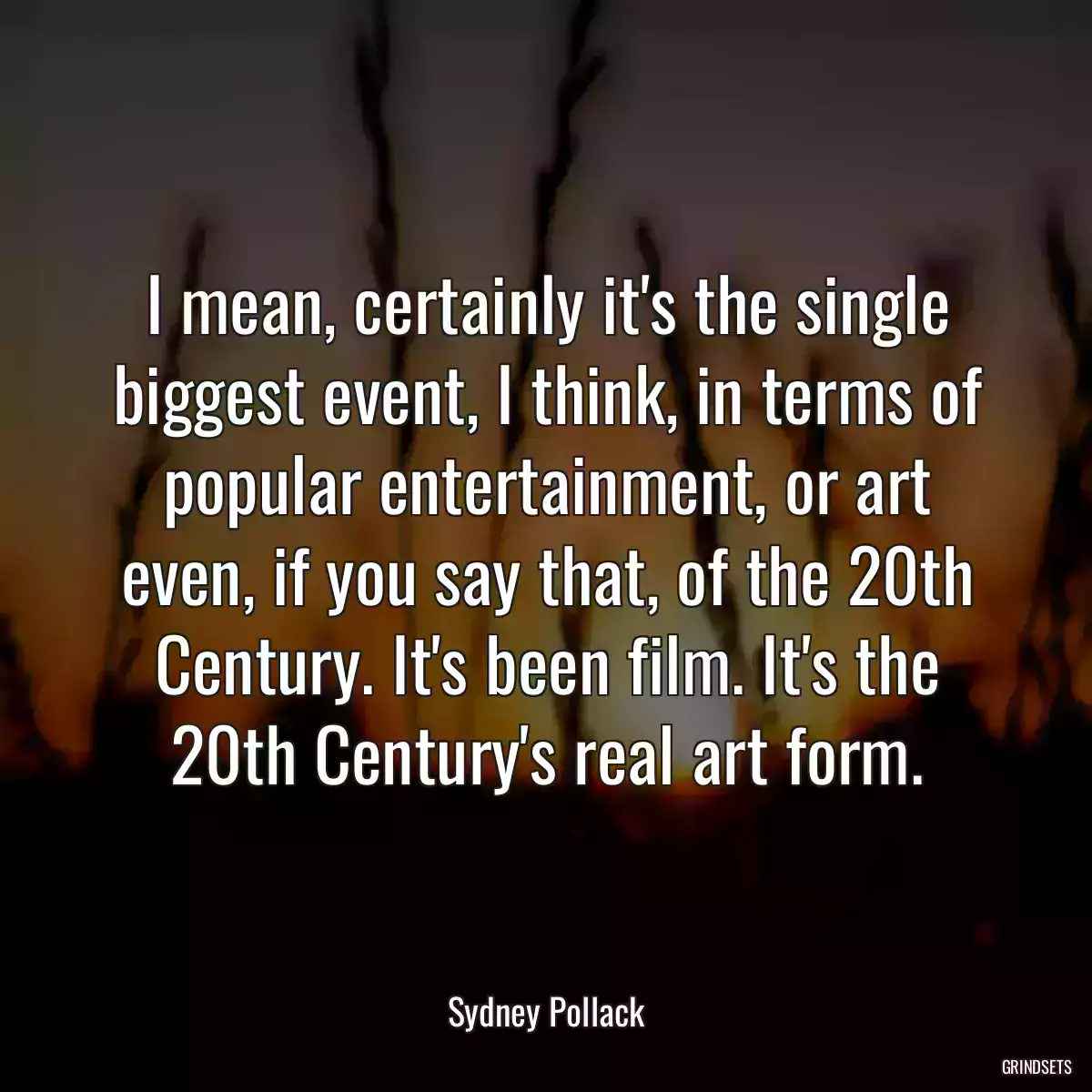 I mean, certainly it\'s the single biggest event, I think, in terms of popular entertainment, or art even, if you say that, of the 20th Century. It\'s been film. It\'s the 20th Century\'s real art form.