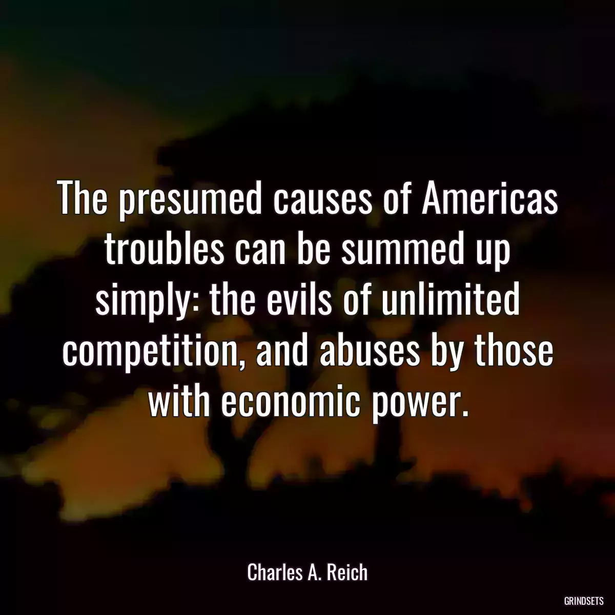 The presumed causes of Americas troubles can be summed up simply: the evils of unlimited competition, and abuses by those with economic power.