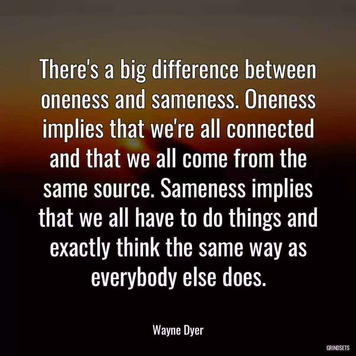 There\'s a big difference between oneness and sameness. Oneness implies that we\'re all connected and that we all come from the same source. Sameness implies that we all have to do things and exactly think the same way as everybody else does.