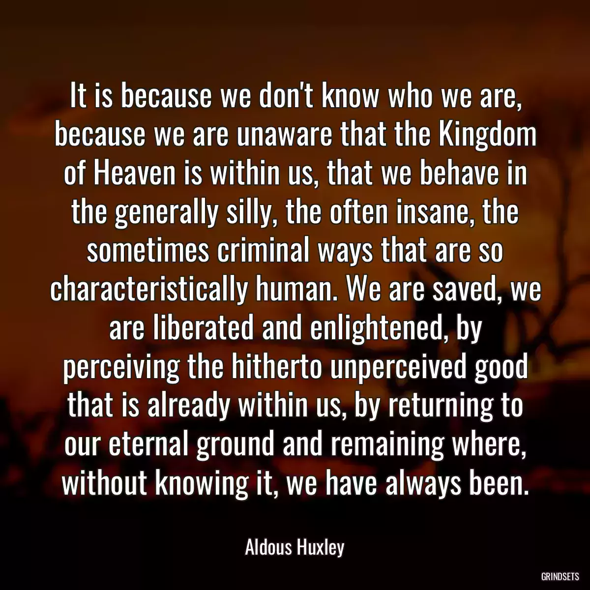 It is because we don\'t know who we are, because we are unaware that the Kingdom of Heaven is within us, that we behave in the generally silly, the often insane, the sometimes criminal ways that are so characteristically human. We are saved, we are liberated and enlightened, by perceiving the hitherto unperceived good that is already within us, by returning to our eternal ground and remaining where, without knowing it, we have always been.