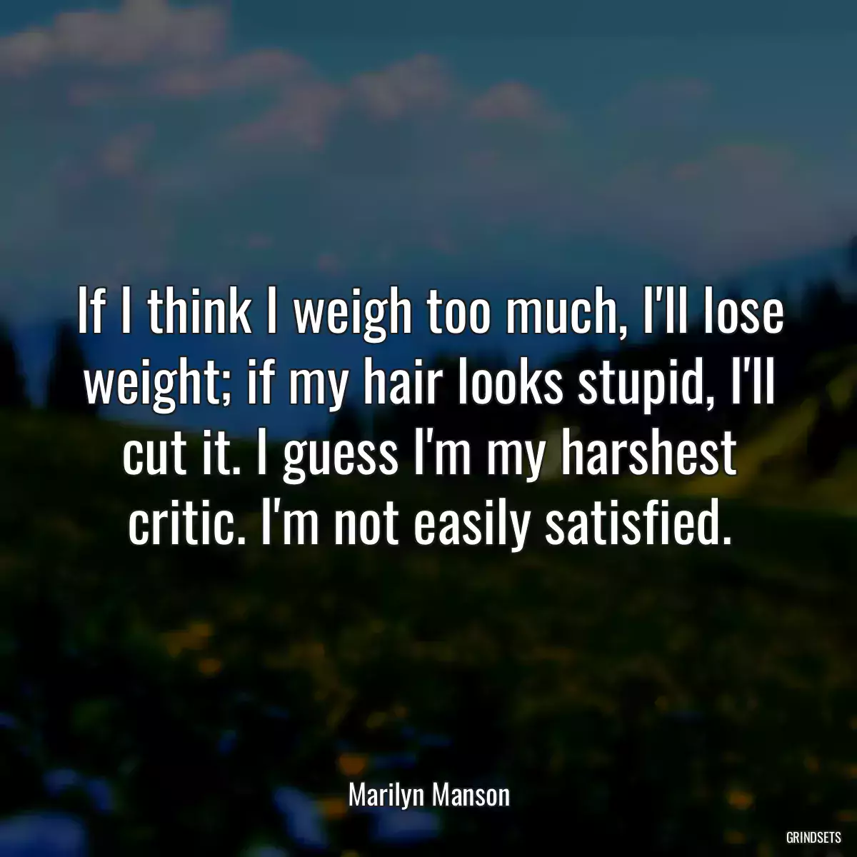 If I think I weigh too much, I\'ll lose weight; if my hair looks stupid, I\'ll cut it. I guess I\'m my harshest critic. I\'m not easily satisfied.