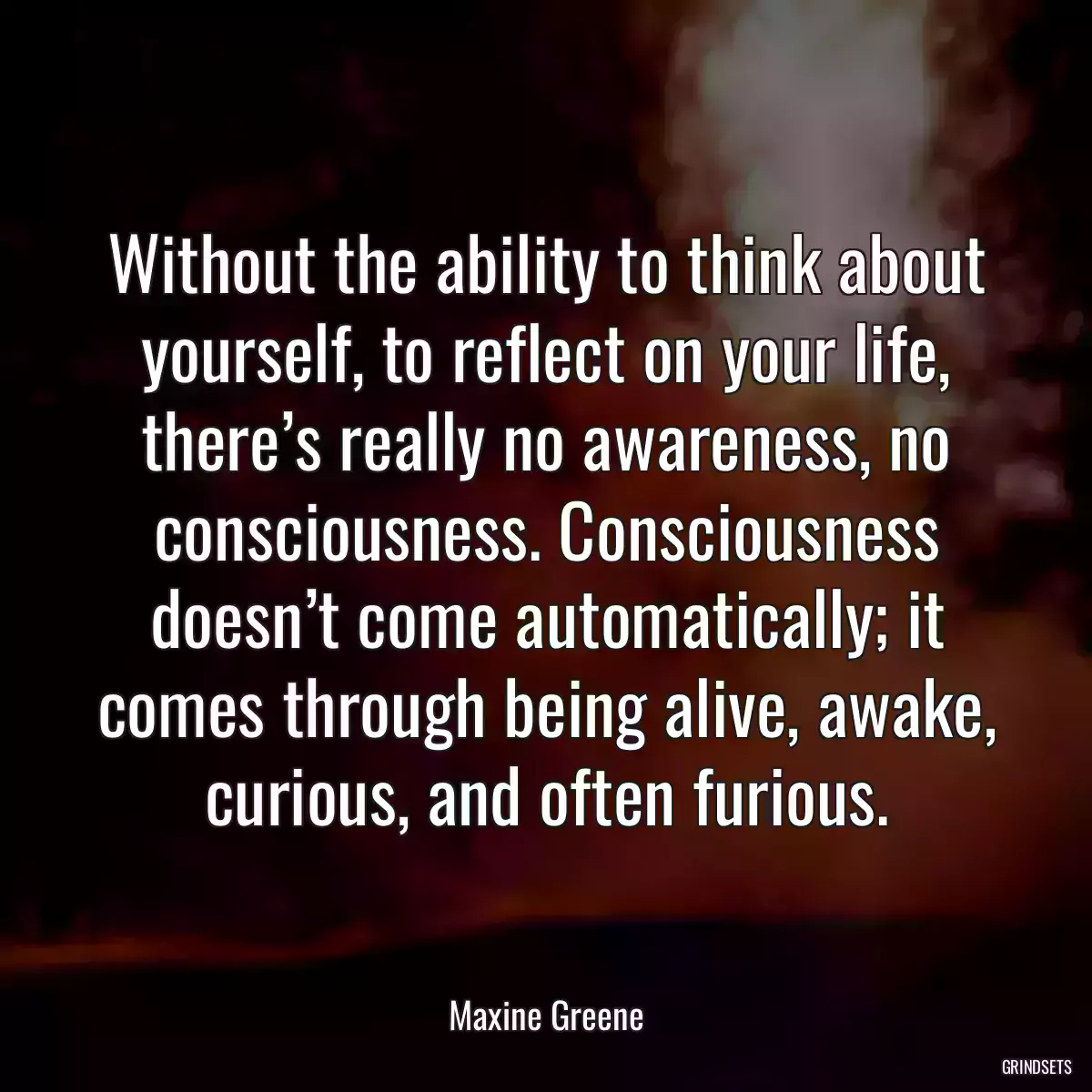 Without the ability to think about yourself, to reflect on your life, there’s really no awareness, no consciousness. Consciousness doesn’t come automatically; it comes through being alive, awake, curious, and often furious.