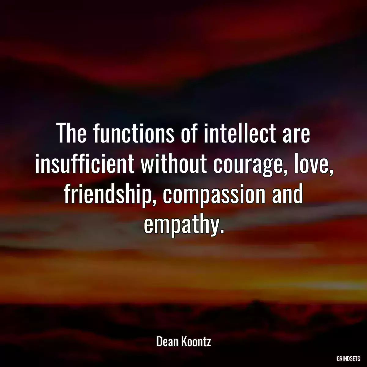 The functions of intellect are insufficient without courage, love, friendship, compassion and empathy.