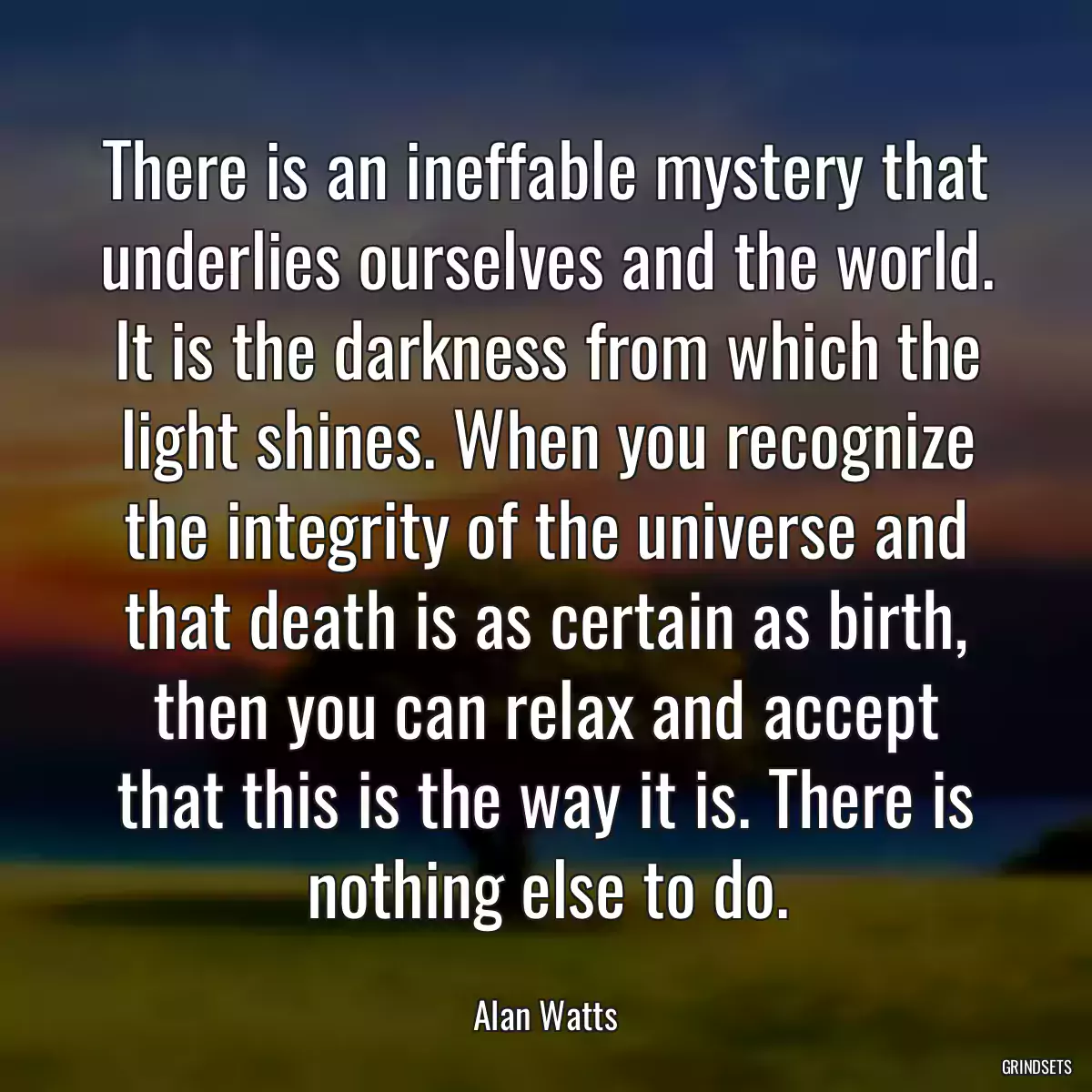 There is an ineffable mystery that underlies ourselves and the world. It is the darkness from which the light shines. When you recognize the integrity of the universe and that death is as certain as birth, then you can relax and accept that this is the way it is. There is nothing else to do.