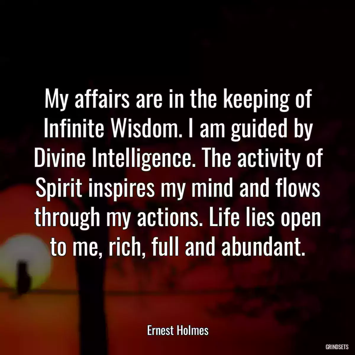 My affairs are in the keeping of Infinite Wisdom. I am guided by Divine Intelligence. The activity of Spirit inspires my mind and flows through my actions. Life lies open to me, rich, full and abundant.