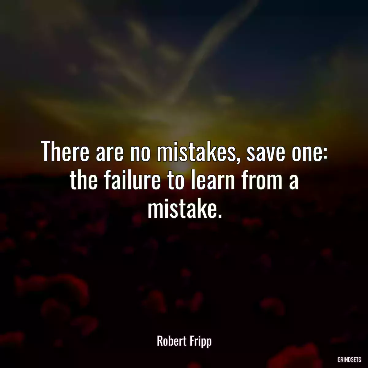 There are no mistakes, save one: the failure to learn from a mistake.