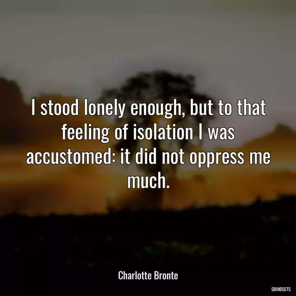 I stood lonely enough, but to that feeling of isolation I was accustomed: it did not oppress me much.