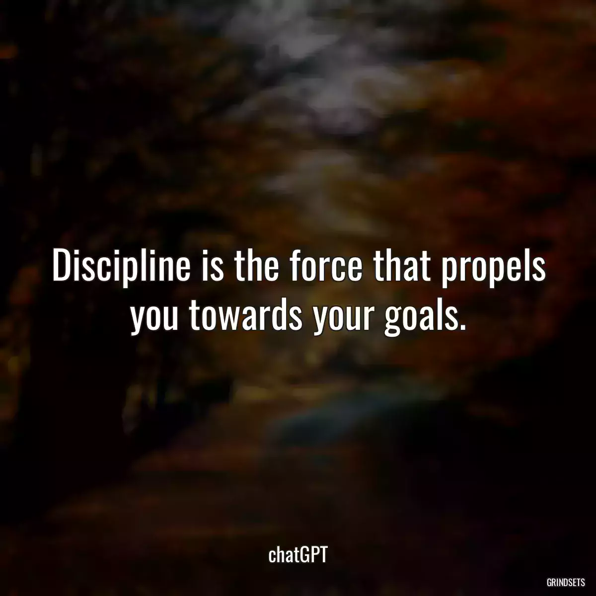 Discipline is the force that propels you towards your goals.