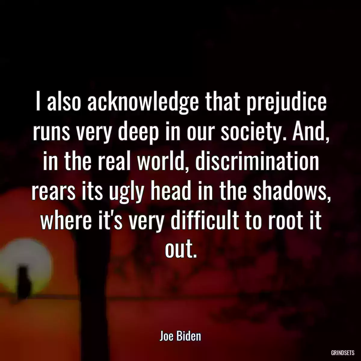 I also acknowledge that prejudice runs very deep in our society. And, in the real world, discrimination rears its ugly head in the shadows, where it\'s very difficult to root it out.