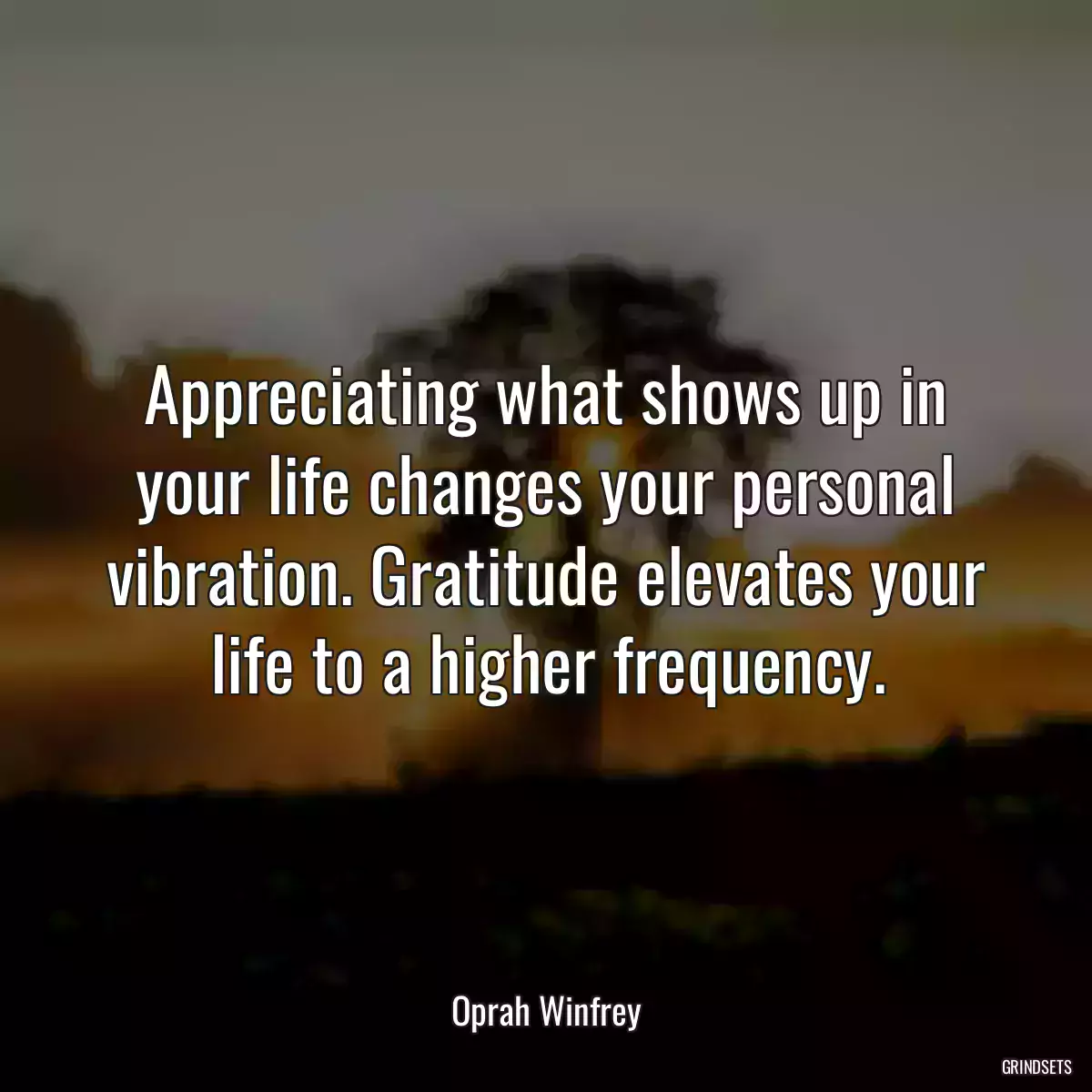 Appreciating what shows up in your life changes your personal vibration. Gratitude elevates your life to a higher frequency.