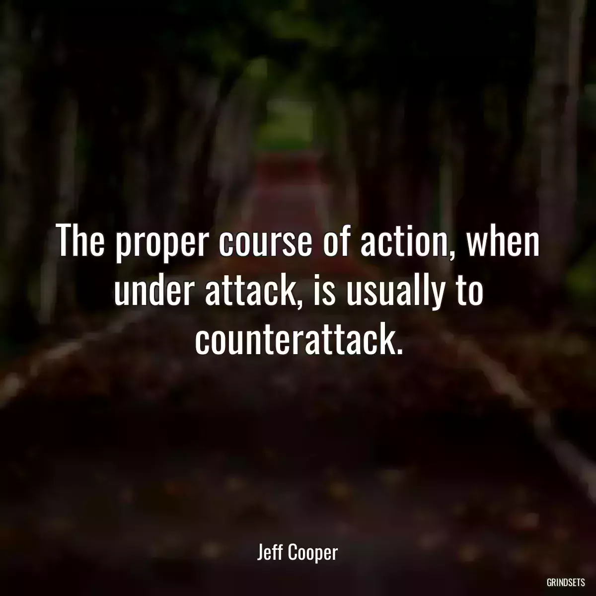 The proper course of action, when under attack, is usually to counterattack.