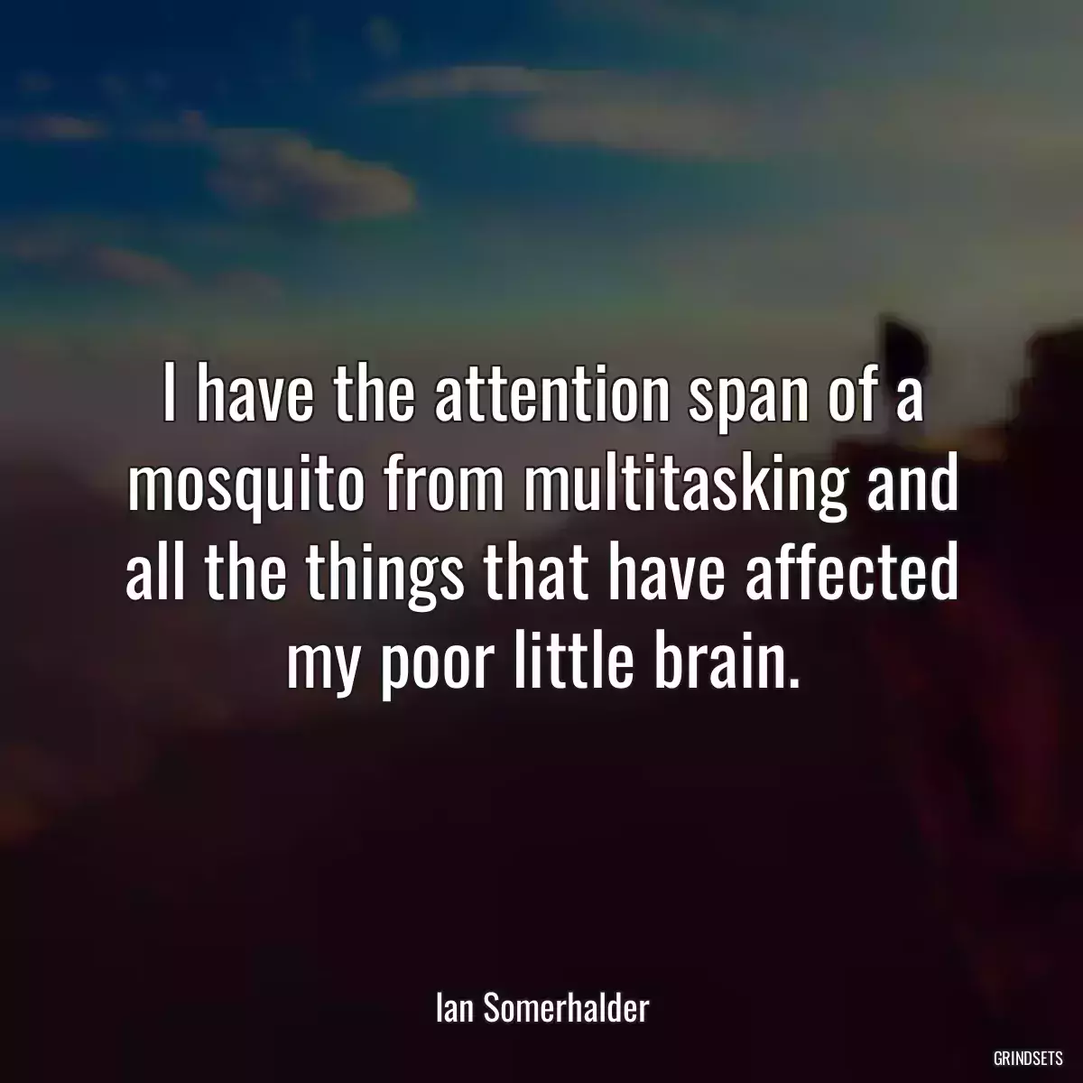 I have the attention span of a mosquito from multitasking and all the things that have affected my poor little brain.