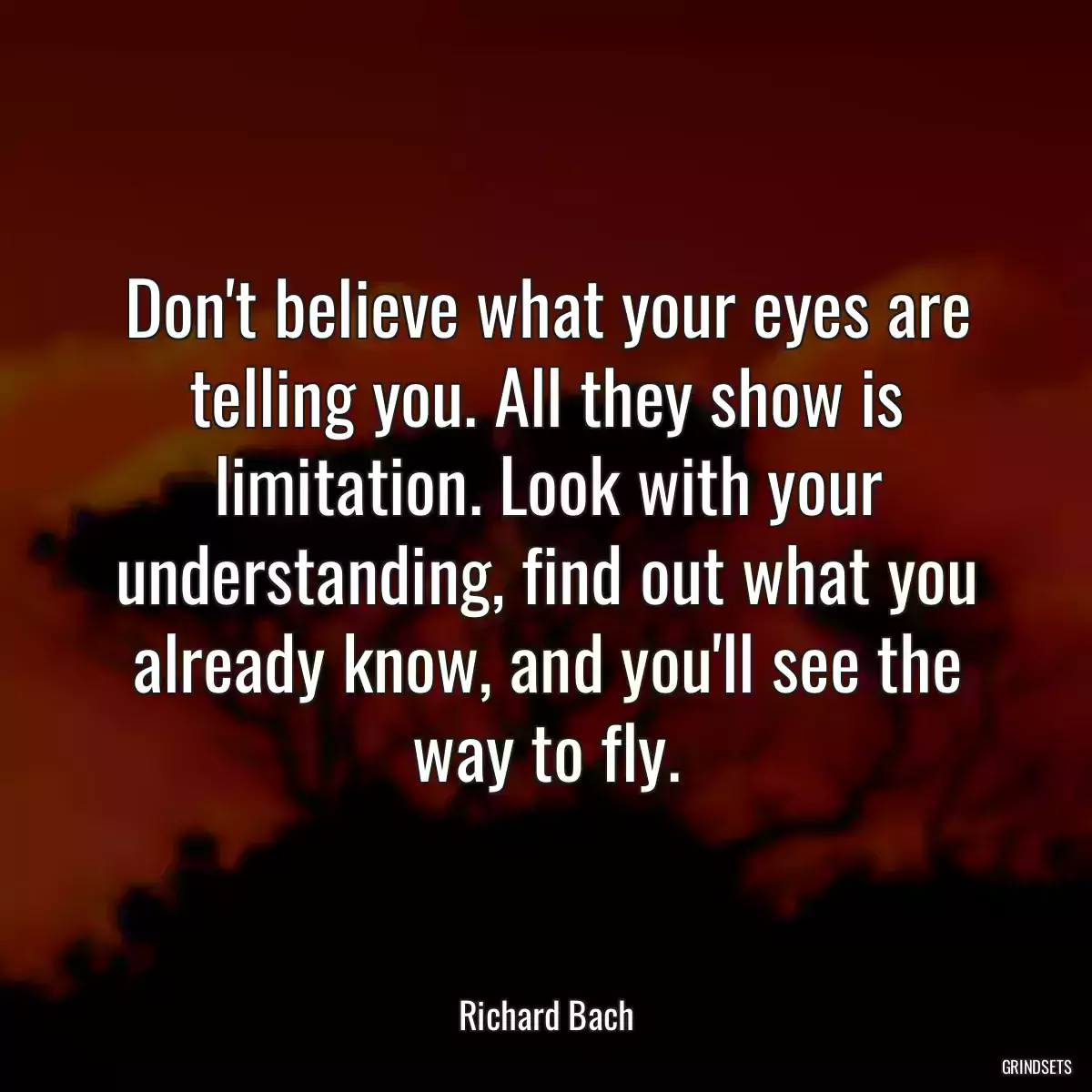 Don\'t believe what your eyes are telling you. All they show is limitation. Look with your understanding, find out what you already know, and you\'ll see the way to fly.