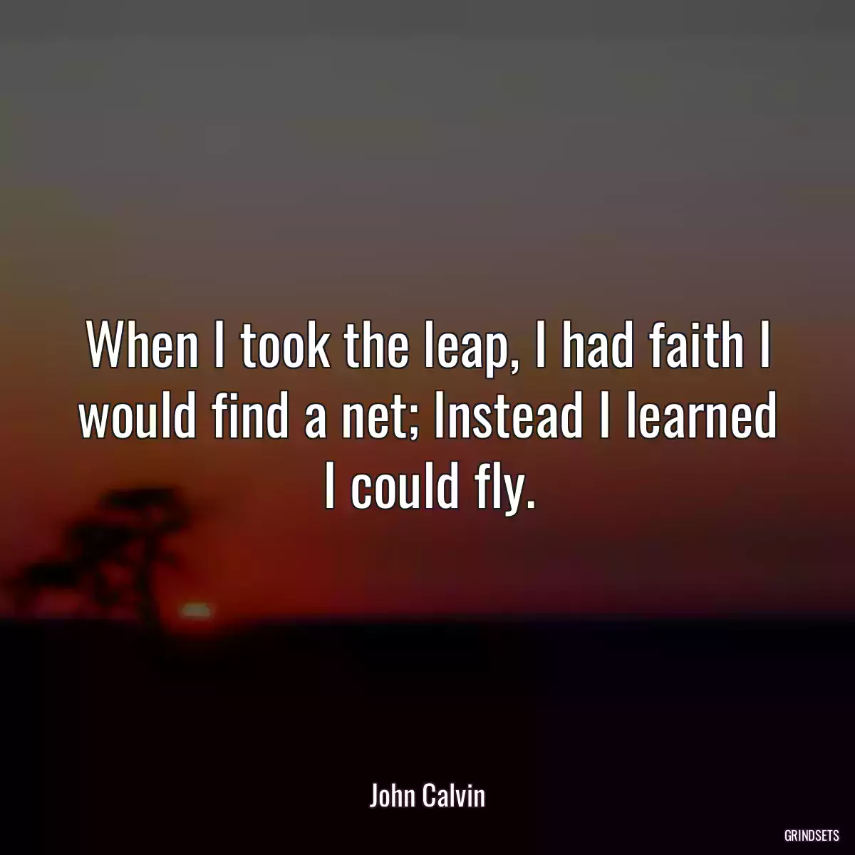 When I took the leap, I had faith I would find a net; Instead I learned I could fly.