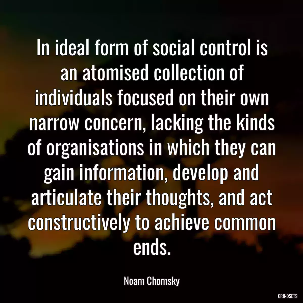 In ideal form of social control is an atomised collection of individuals focused on their own narrow concern, lacking the kinds of organisations in which they can gain information, develop and articulate their thoughts, and act constructively to achieve common ends.