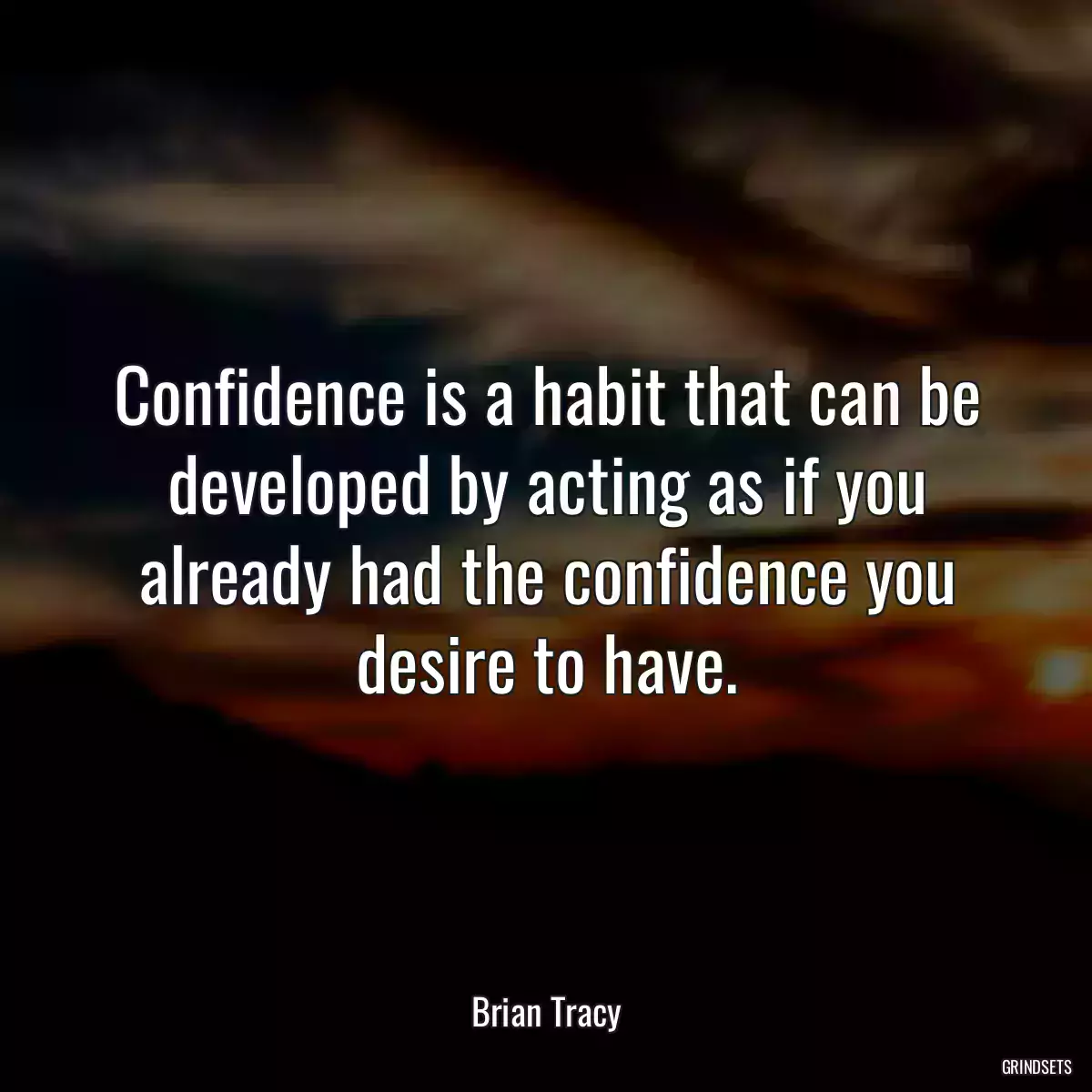 Confidence is a habit that can be developed by acting as if you already had the confidence you desire to have.