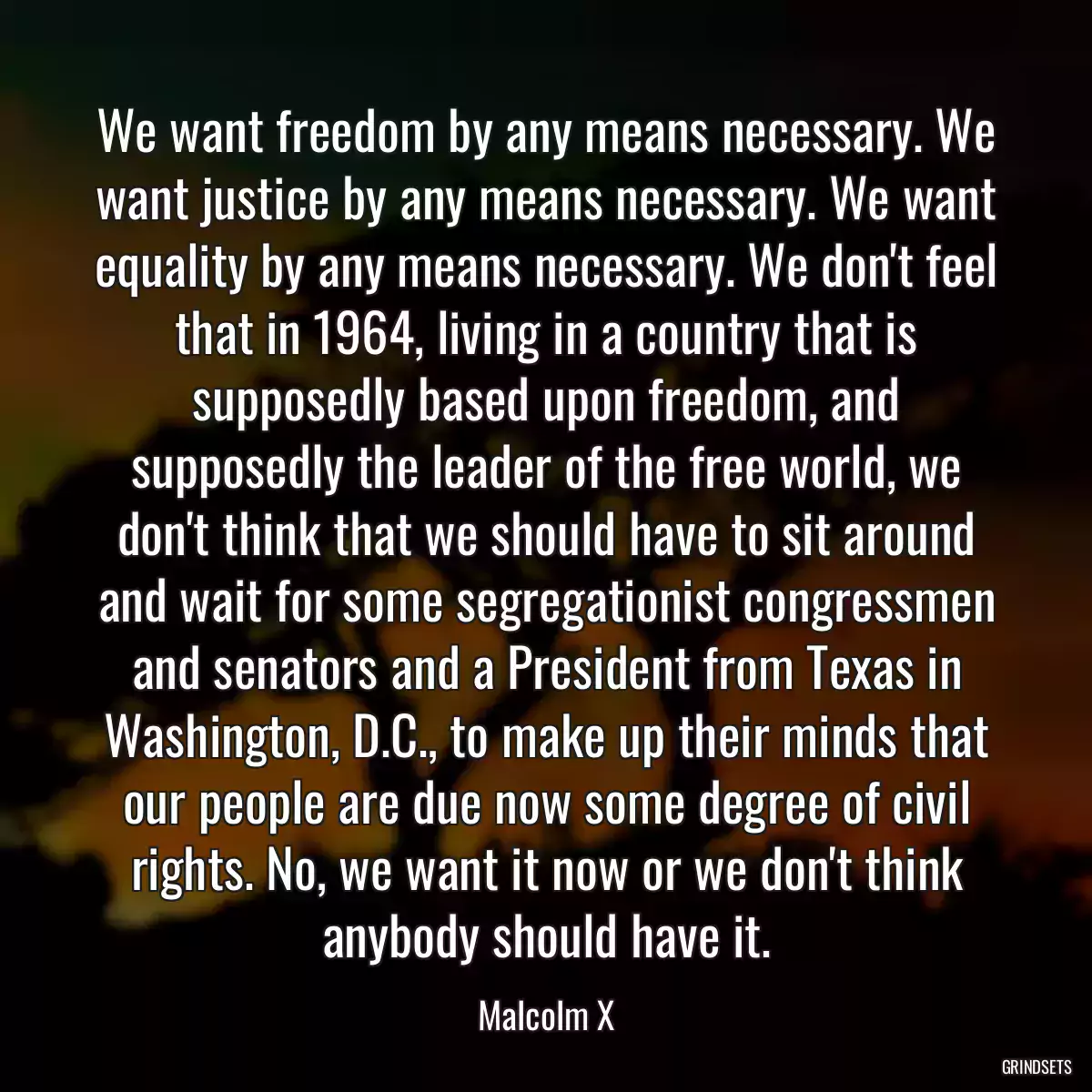 We want freedom by any means necessary. We want justice by any means necessary. We want equality by any means necessary. We don\'t feel that in 1964, living in a country that is supposedly based upon freedom, and supposedly the leader of the free world, we don\'t think that we should have to sit around and wait for some segregationist congressmen and senators and a President from Texas in Washington, D.C., to make up their minds that our people are due now some degree of civil rights. No, we want it now or we don\'t think anybody should have it.