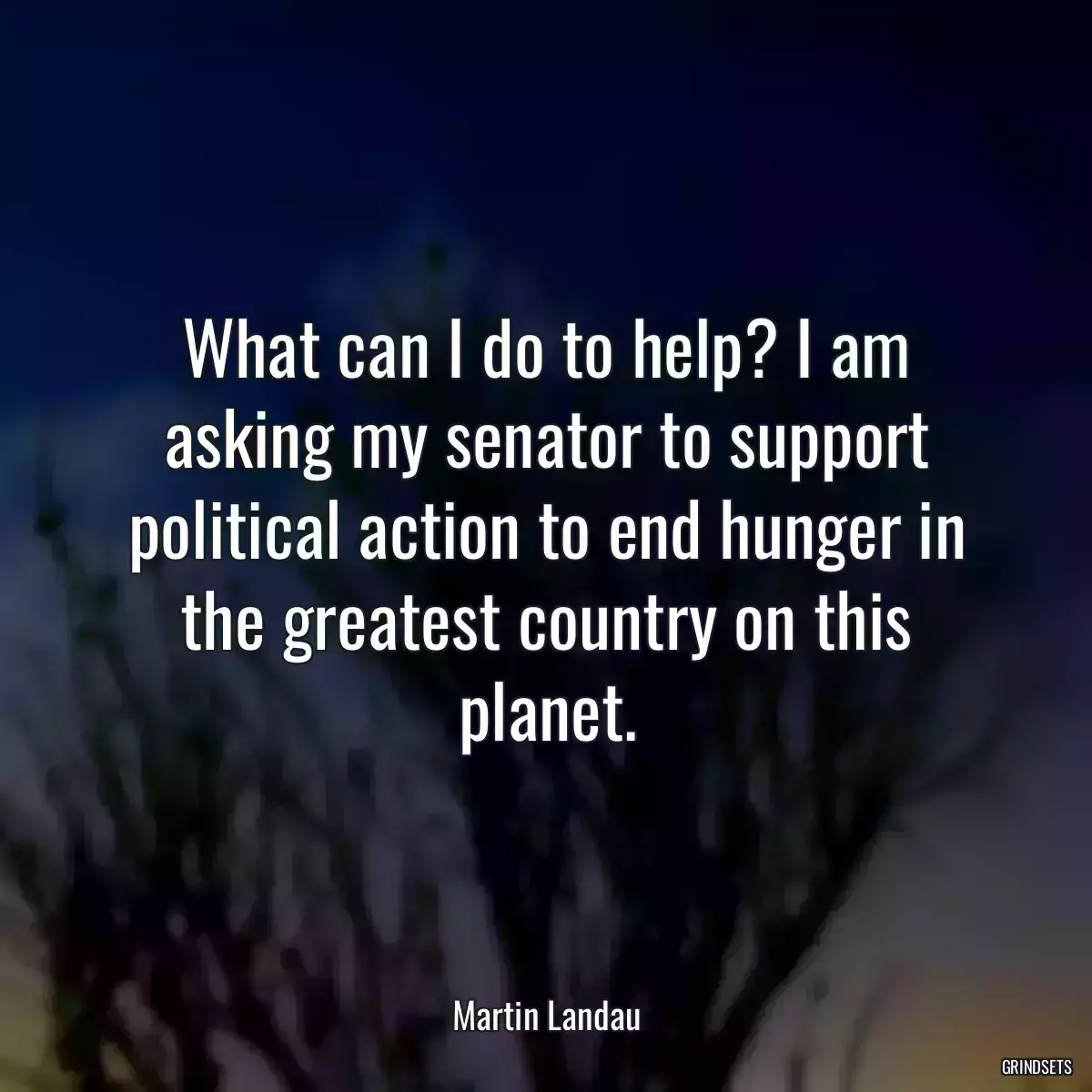 What can I do to help? I am asking my senator to support political action to end hunger in the greatest country on this planet.