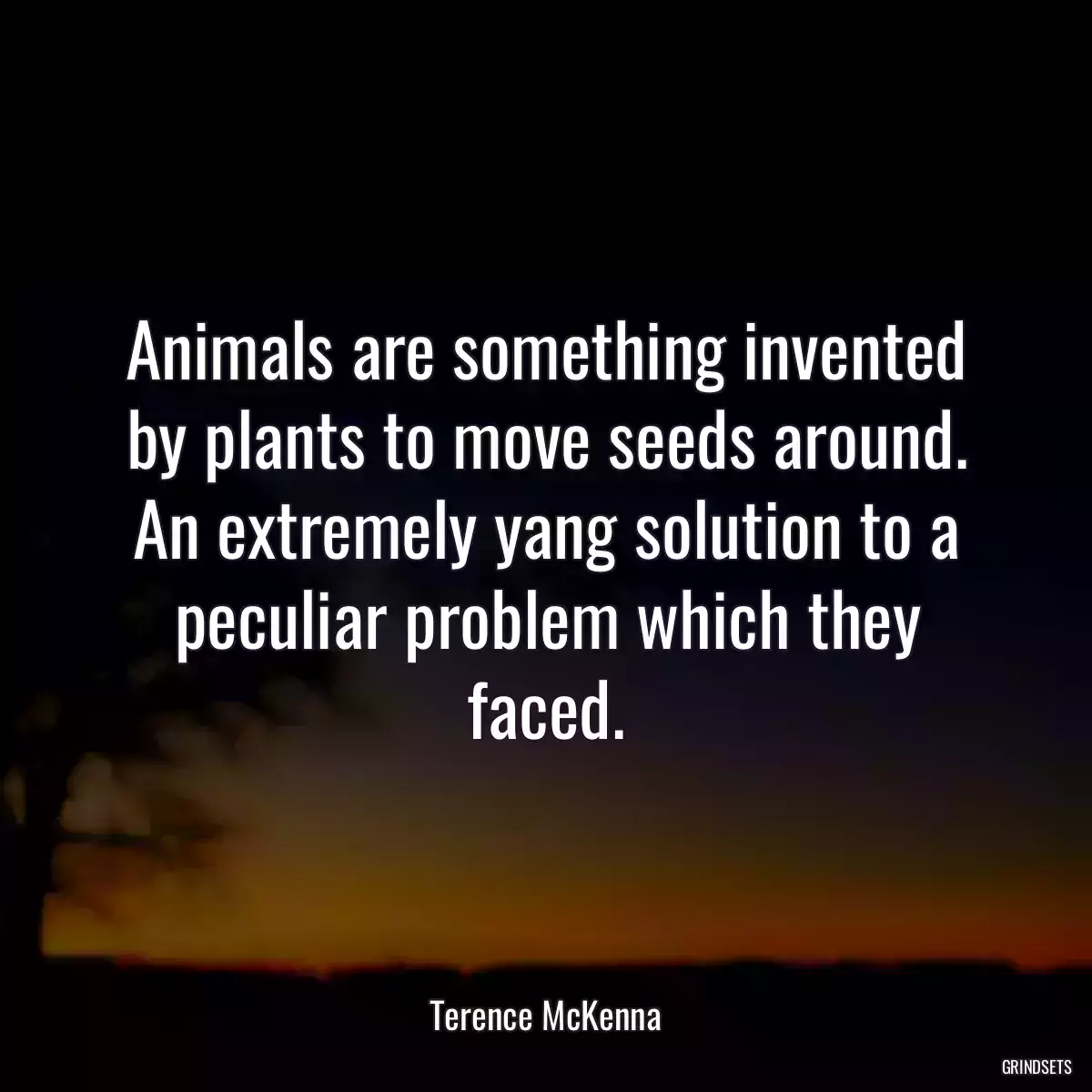 Animals are something invented by plants to move seeds around. An extremely yang solution to a peculiar problem which they faced.