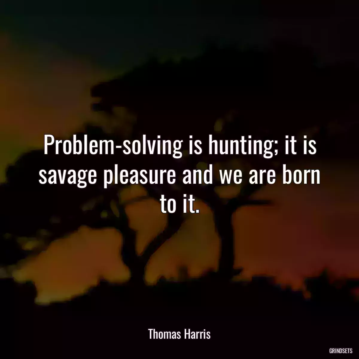 Problem-solving is hunting; it is savage pleasure and we are born to it.