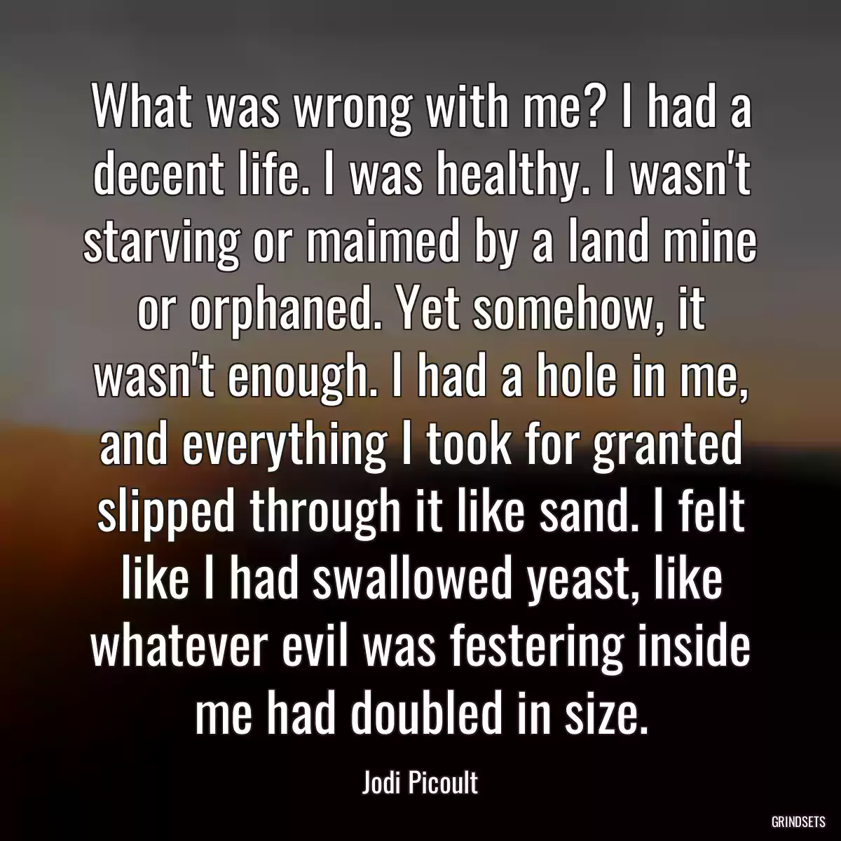 What was wrong with me? I had a decent life. I was healthy. I wasn\'t starving or maimed by a land mine or orphaned. Yet somehow, it wasn\'t enough. I had a hole in me, and everything I took for granted slipped through it like sand. I felt like I had swallowed yeast, like whatever evil was festering inside me had doubled in size.