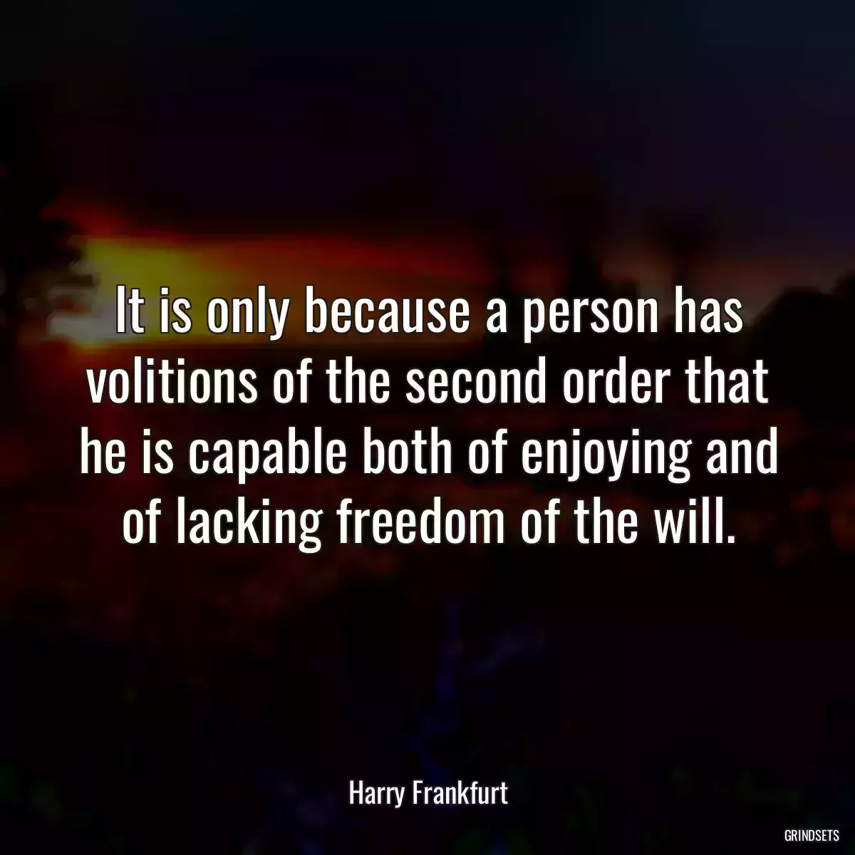 It is only because a person has volitions of the second order that he is capable both of enjoying and of lacking freedom of the will.