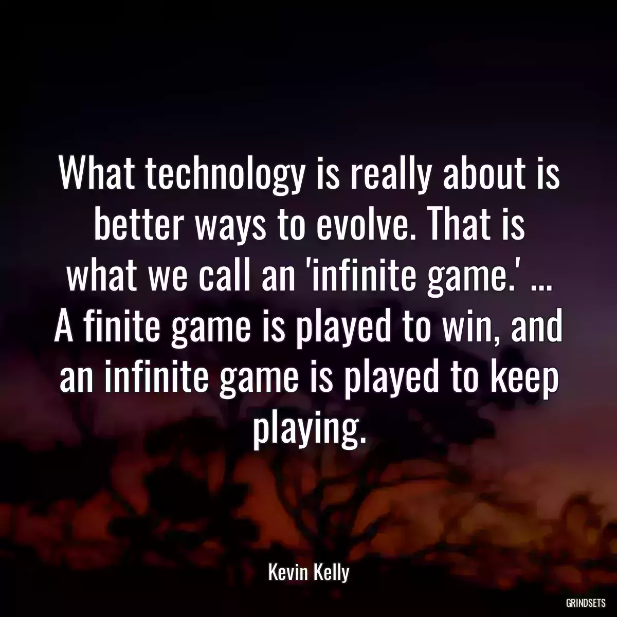 What technology is really about is better ways to evolve. That is what we call an \'infinite game.\' ... A finite game is played to win, and an infinite game is played to keep playing.