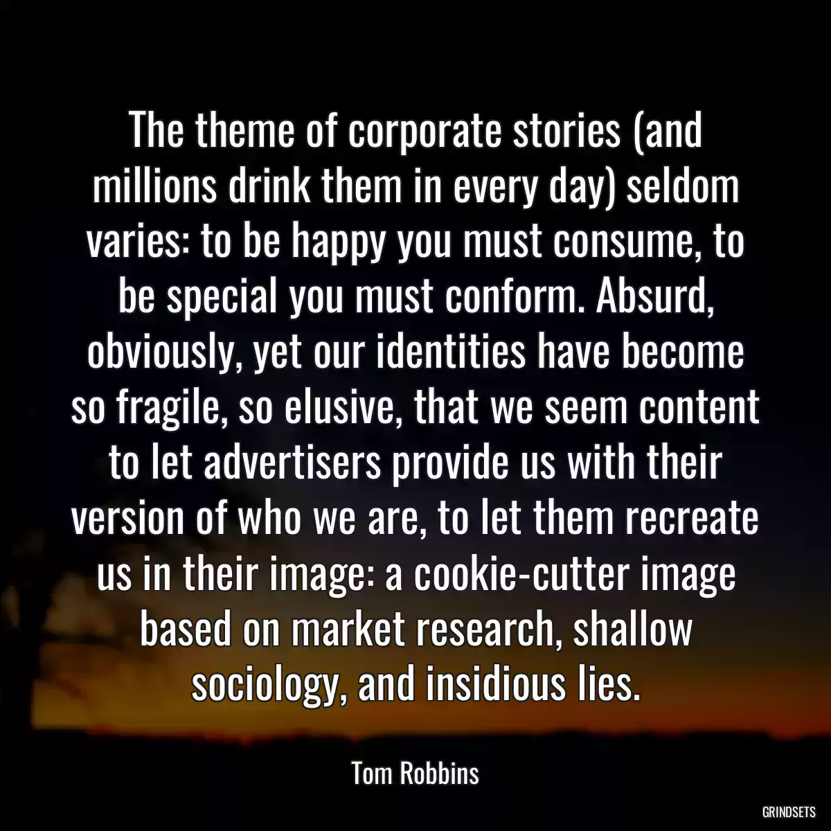 The theme of corporate stories (and millions drink them in every day) seldom varies: to be happy you must consume, to be special you must conform. Absurd, obviously, yet our identities have become so fragile, so elusive, that we seem content to let advertisers provide us with their version of who we are, to let them recreate us in their image: a cookie-cutter image based on market research, shallow sociology, and insidious lies.